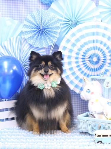 20231116アンバーちゃん